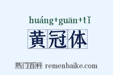 黄冠体是什么意思的图片